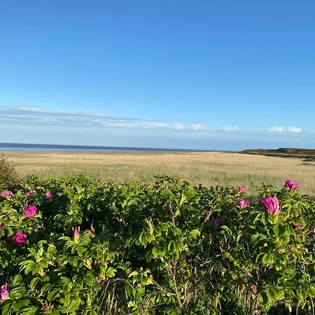 Wattkieker-steinum Sylt